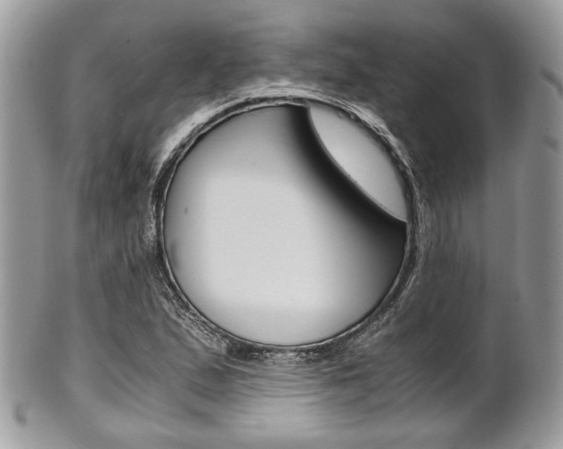 X0000101411167200807070959