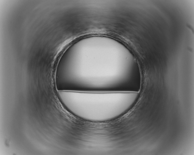 X0000101411168200807070959
