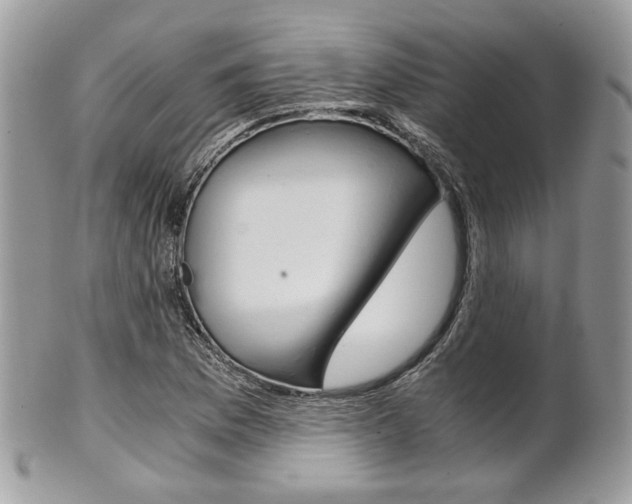 X0000101411169200807070959