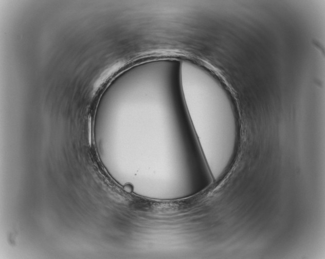X0000101411171200807070959