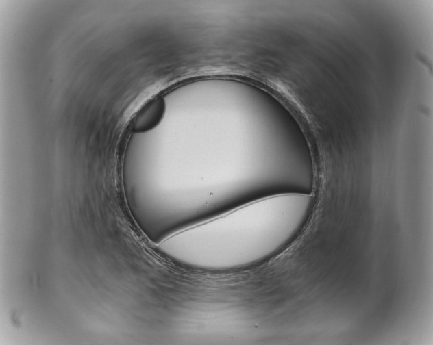 X0000101411173200807070959