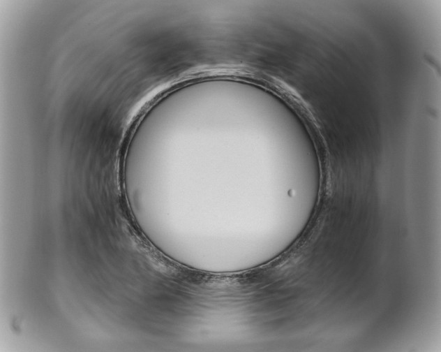 X0000101411174200807070959