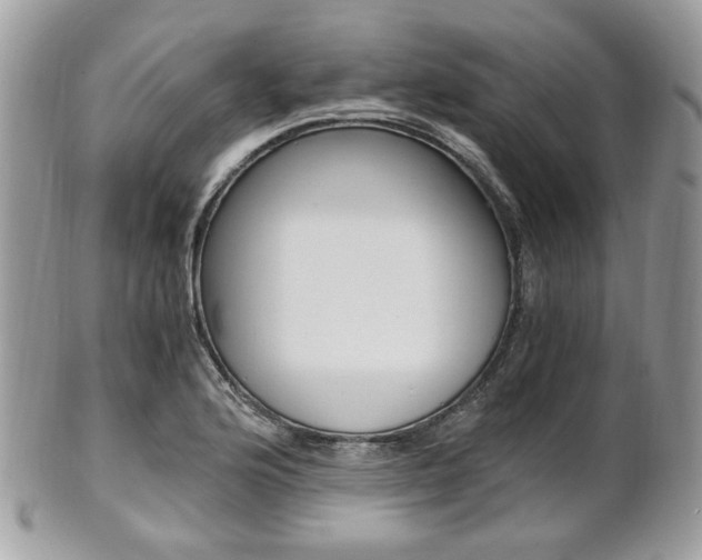 X0000101411176200807070959