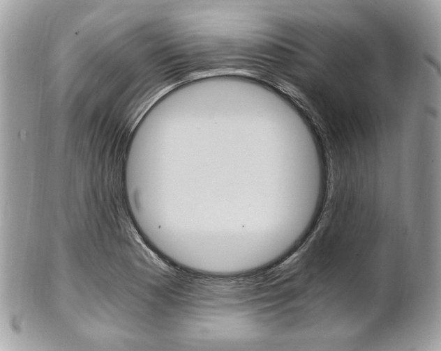 X0000101411177200807070959