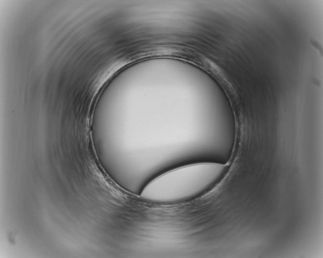 X0000101411178200807070959