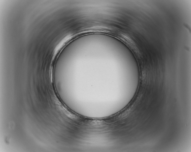 X0000101411180200807070959