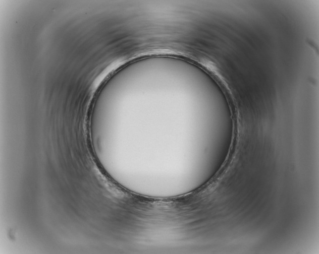 X0000101411181200807070959