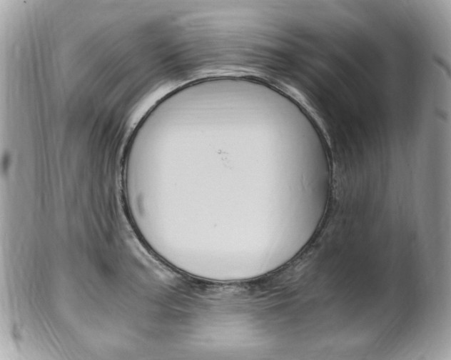 X0000101411187200807070959