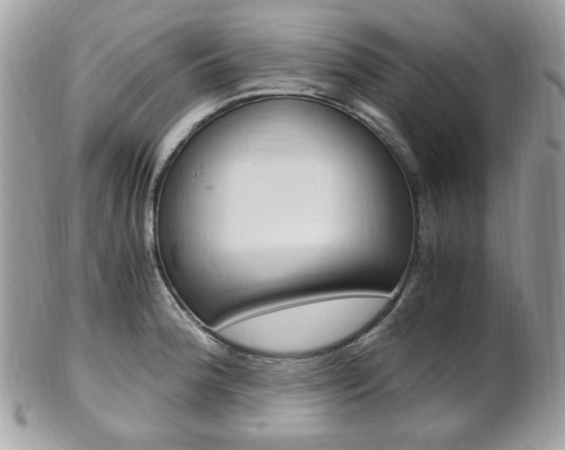 X0000101411188200807070959