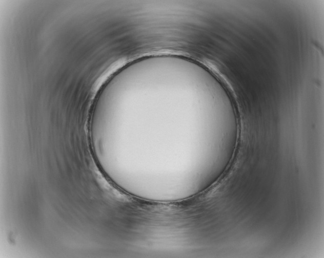 X0000101411189200807070959