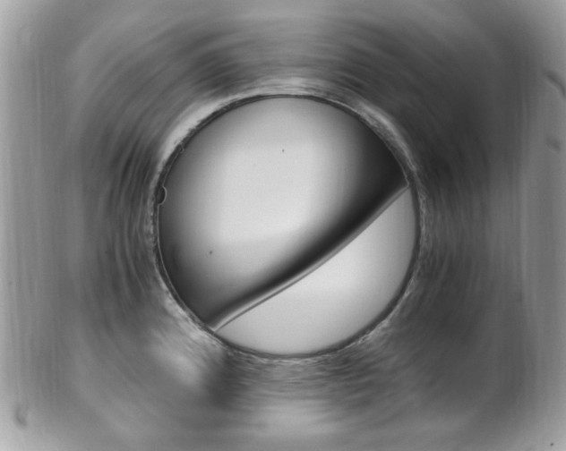 X0000101411192200807070959
