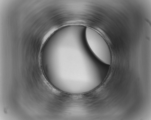 X0000101411196200807070959