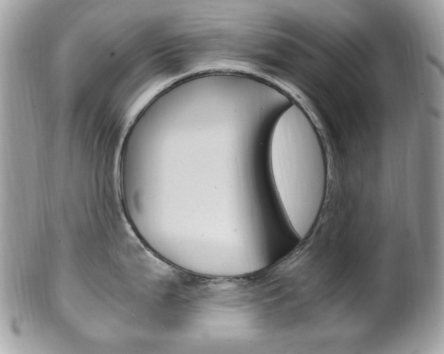 X0000101411199200807070959