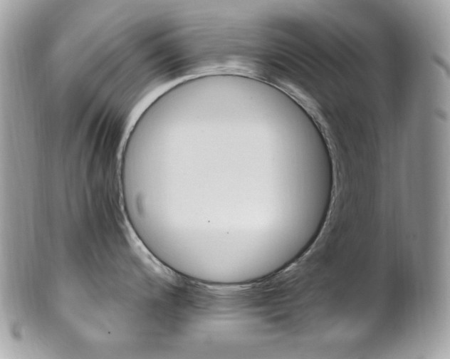 X0000101411200200807070959