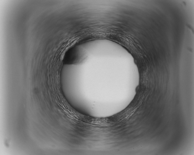 X0000101411201200807070958