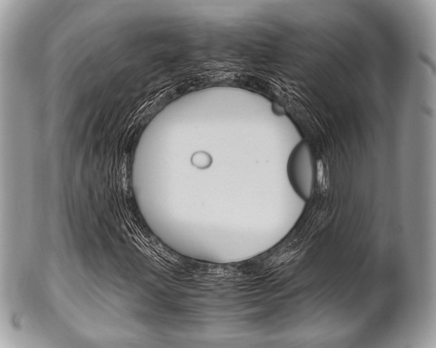 X0000101411203200807070958