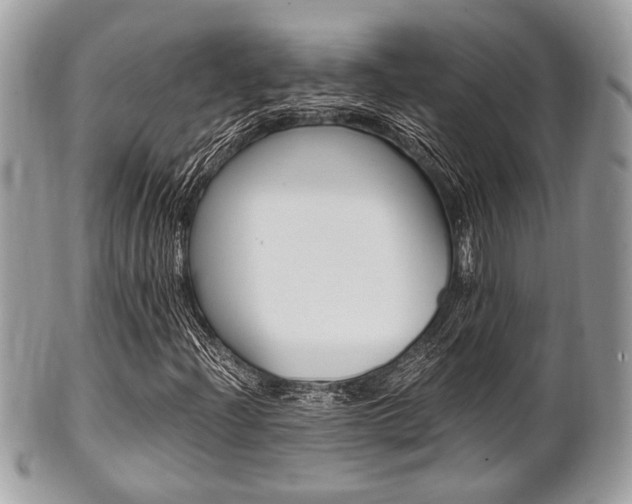 X0000101411204200807070958