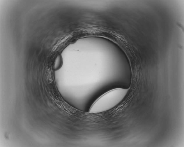 X0000101411205200807070958