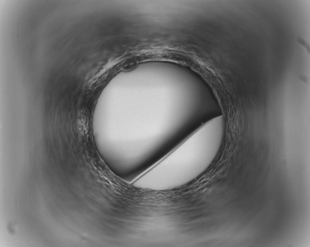 X0000101411206200807070958