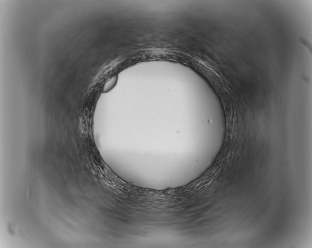 X0000101411207200807070958