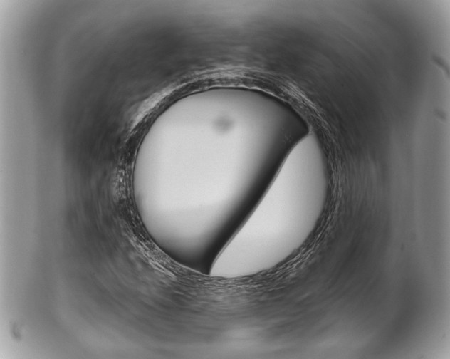 X0000101411208200807070958