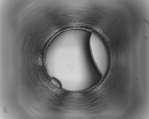 X0000101411209200807070958