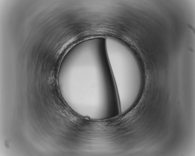 X0000101411210200807070958