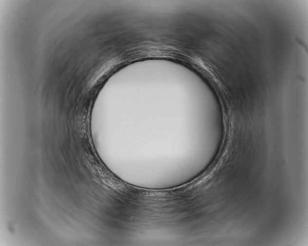 X0000101411211200807070958