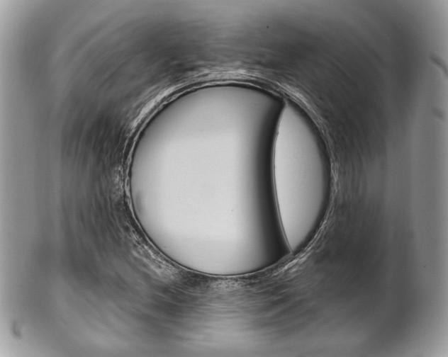 X0000101411212200807070958