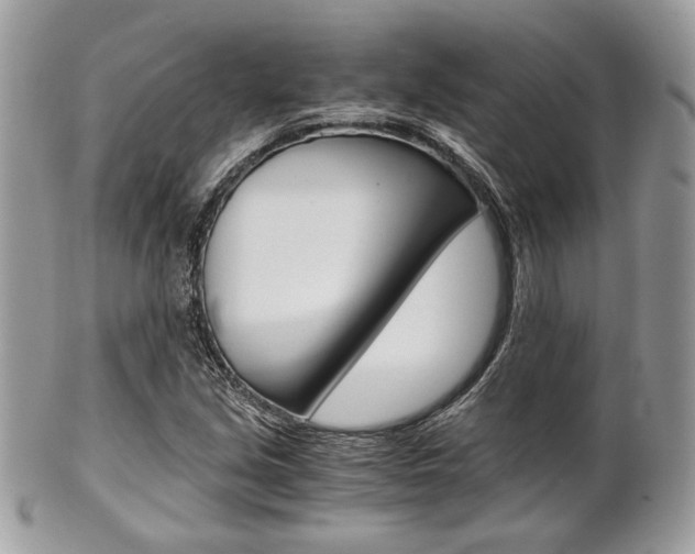 X0000101411213200807070958