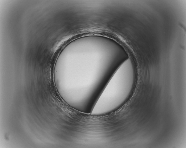X0000101411214200807070958