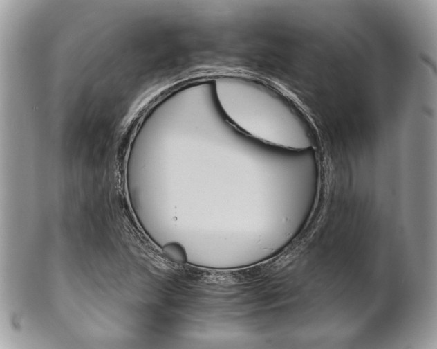 X0000101411215200807070958