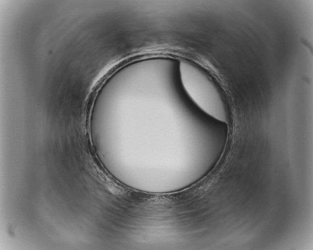 X0000101411216200807070958