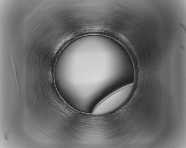 X0000101411218200807070958