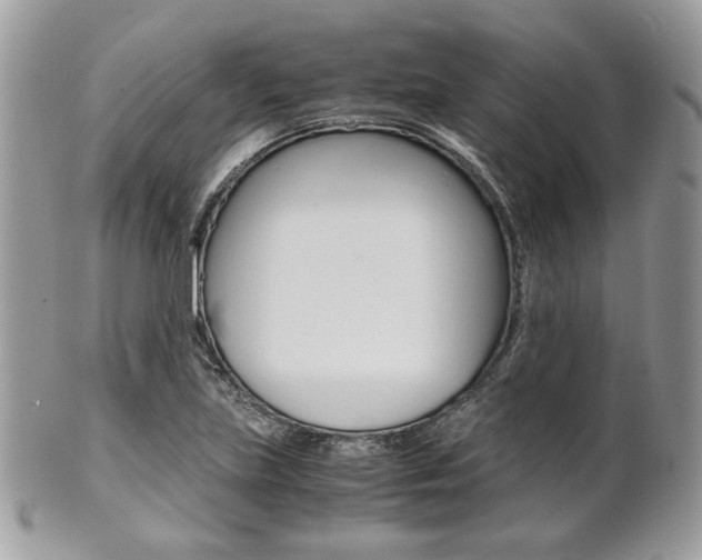 X0000101411219200807070958
