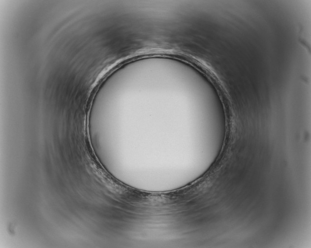 X0000101411220200807070958