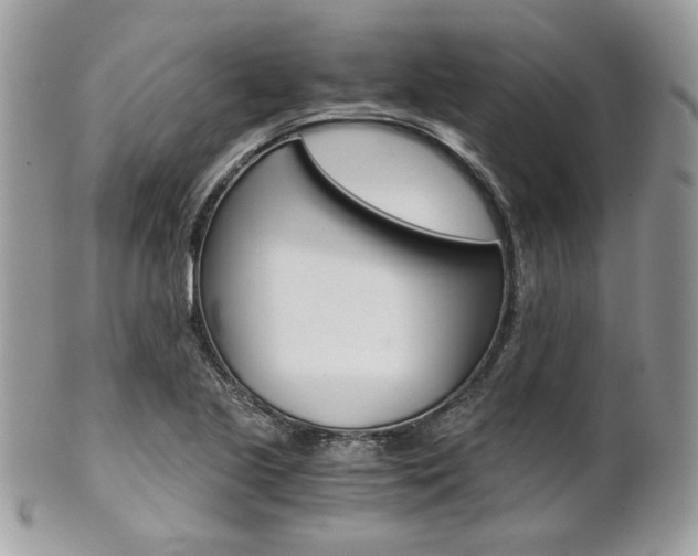 X0000101411221200807070958