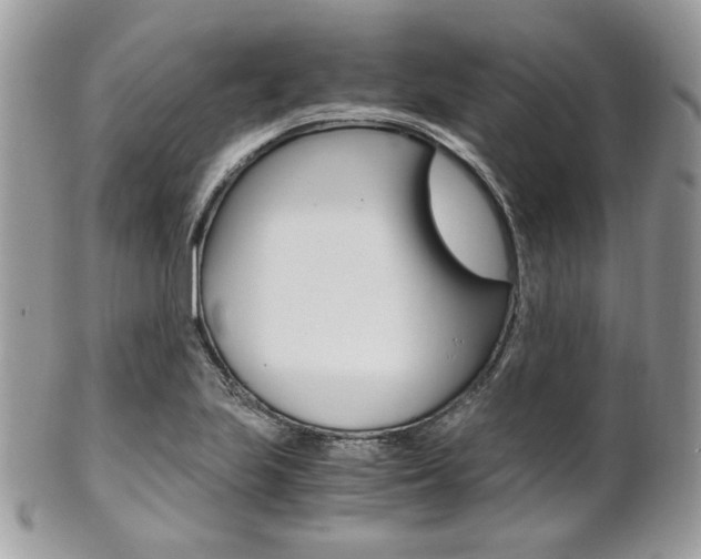 X0000101411223200807070958
