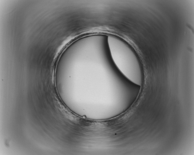 X0000101411224200807070958