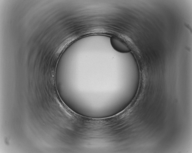 X0000101411225200807070958