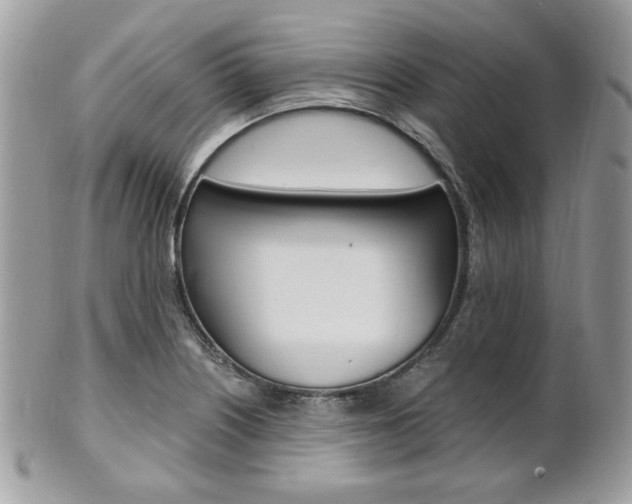 X0000101411226200807070958