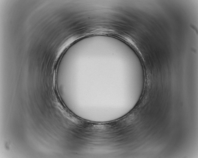 X0000101411227200807070958