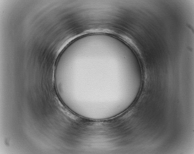 X0000101411228200807070958