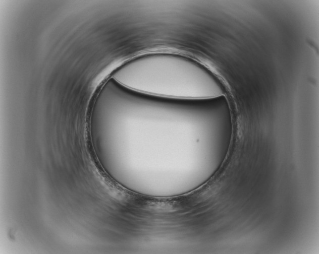 X0000101411229200807070958