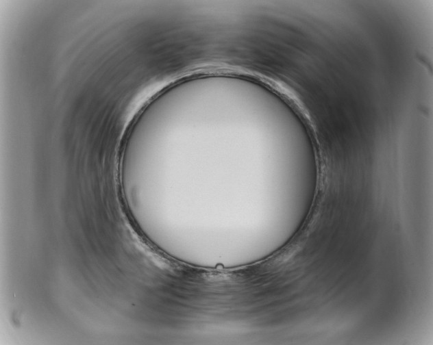 X0000101411231200807070958
