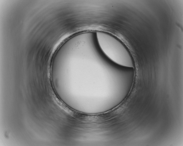 X0000101411232200807070958
