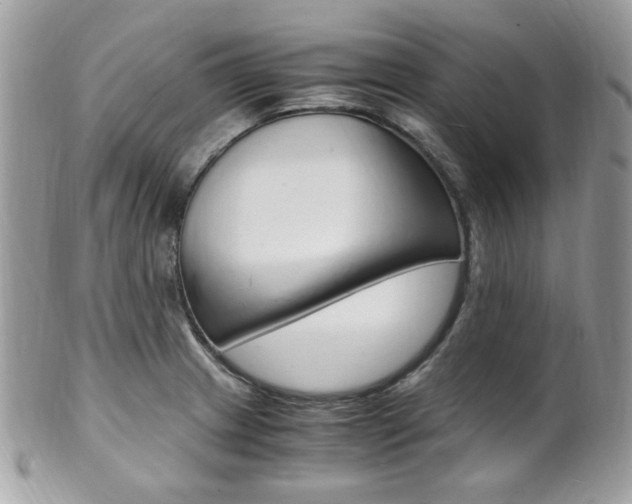 X0000101411233200807070958