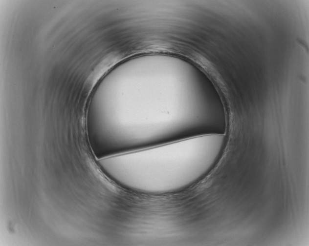 X0000101411234200807070958