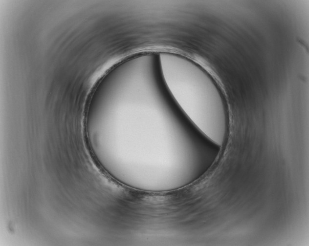 X0000101411237200807070958