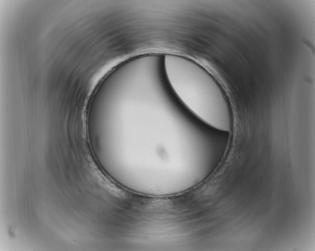 X0000101411238200807070958